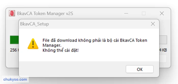 Lỗi File đã download không phải là bộ cài BkavCA Token Manager