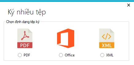 Chọn định dạng tệp cần ký nhiều file