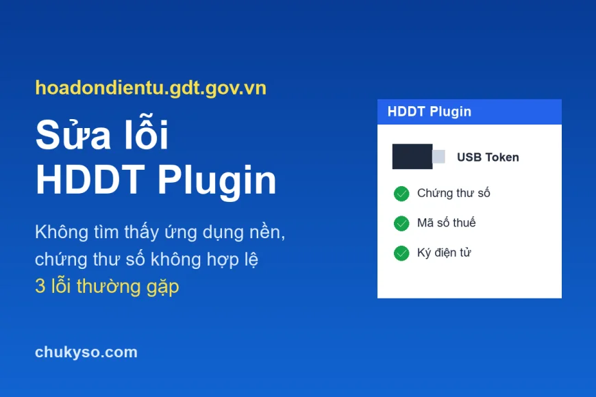 Sửa lỗi HDDT Plugin