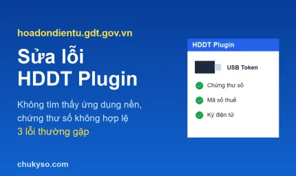 Sửa lỗi HDDT Plugin