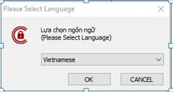 Chọn ngôn ngữ tiếng Việt khi cài ICA Token Manager