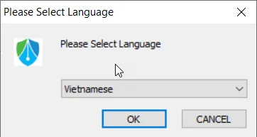 Chọn ngôn ngữ tiếng Việt khi cài NewtelCA Token Manager