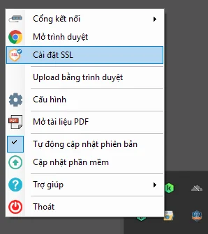Chọn Cài đặt SSL từ biểu tượng VSS Declaration