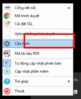 Chọn Cấu hình từ biểu tượng VSS Declaration